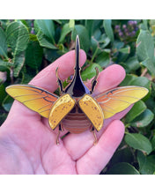 Load image into Gallery viewer, Hercules Beetle PREORDER