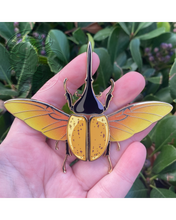 Load image into Gallery viewer, Hercules Beetle PREORDER
